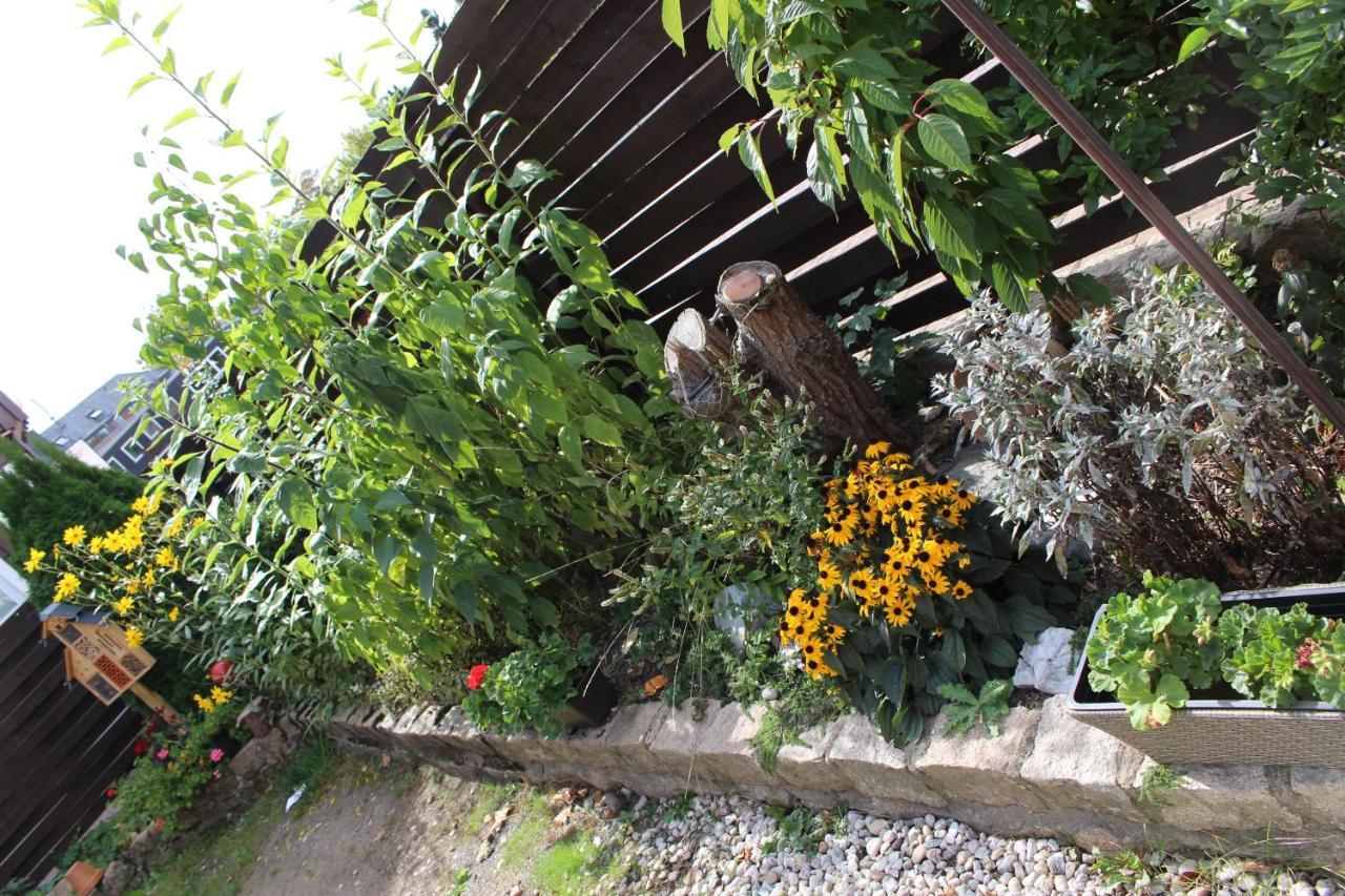 Apartment Ferienappartement Chalet An Der Bode *